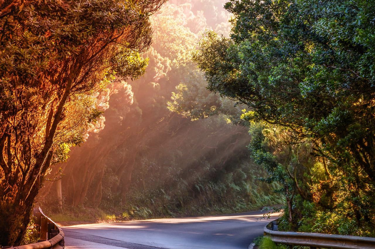 nature, landscape, road-3807916.jpg